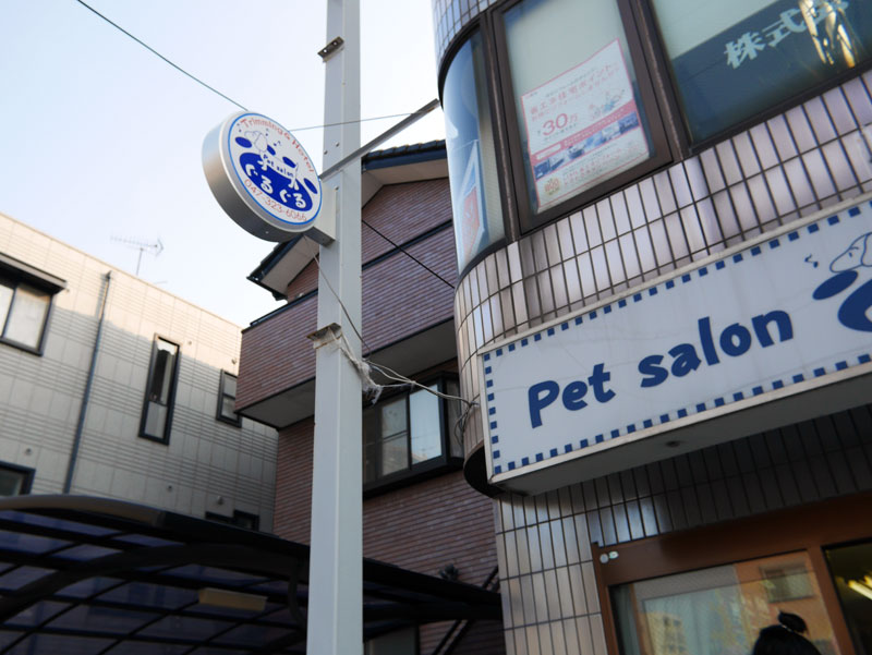 「pet salon ぐるぐる」さんへトリミングに行ってきました。