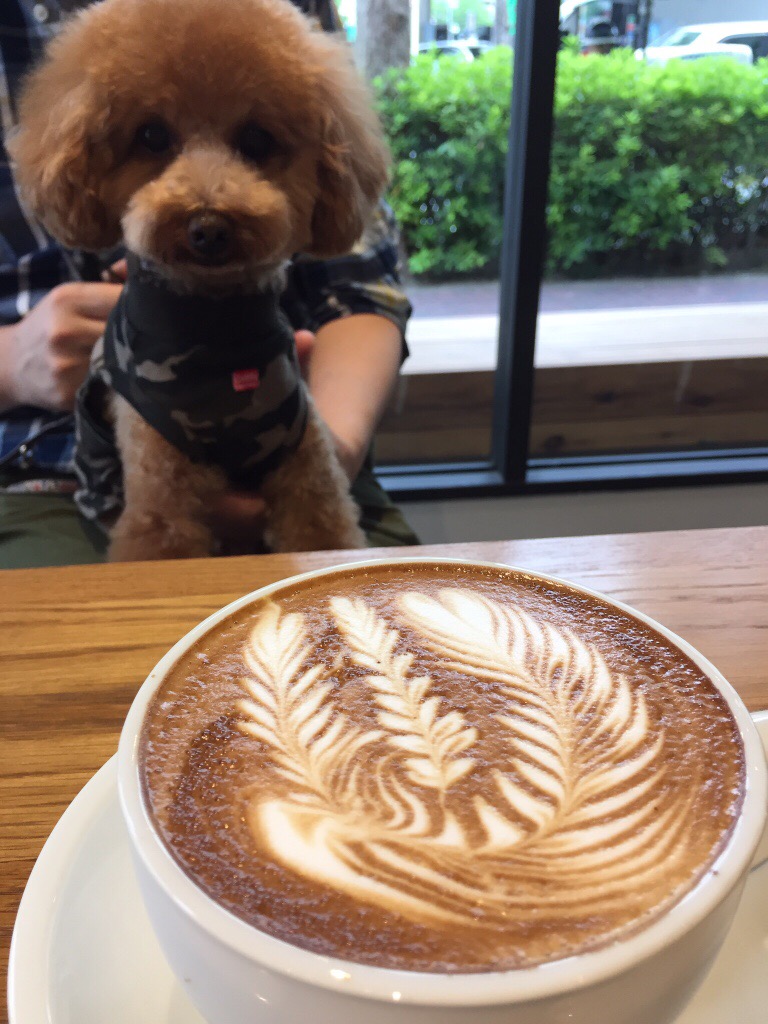 ストリーマコーヒーカンパニー